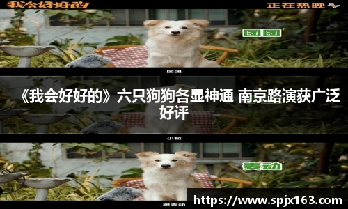 非凡