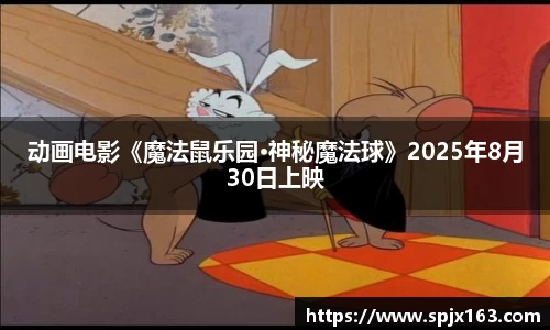 非凡平台